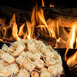 Vžigalna volna za podžig BIO 15 kg