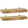 vidaXL seinariiulid, 2 tk, 40x15x4 cm, tiikpuu