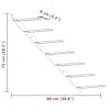 Toote pisipilt  10 / 10