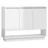 High_gloss_white