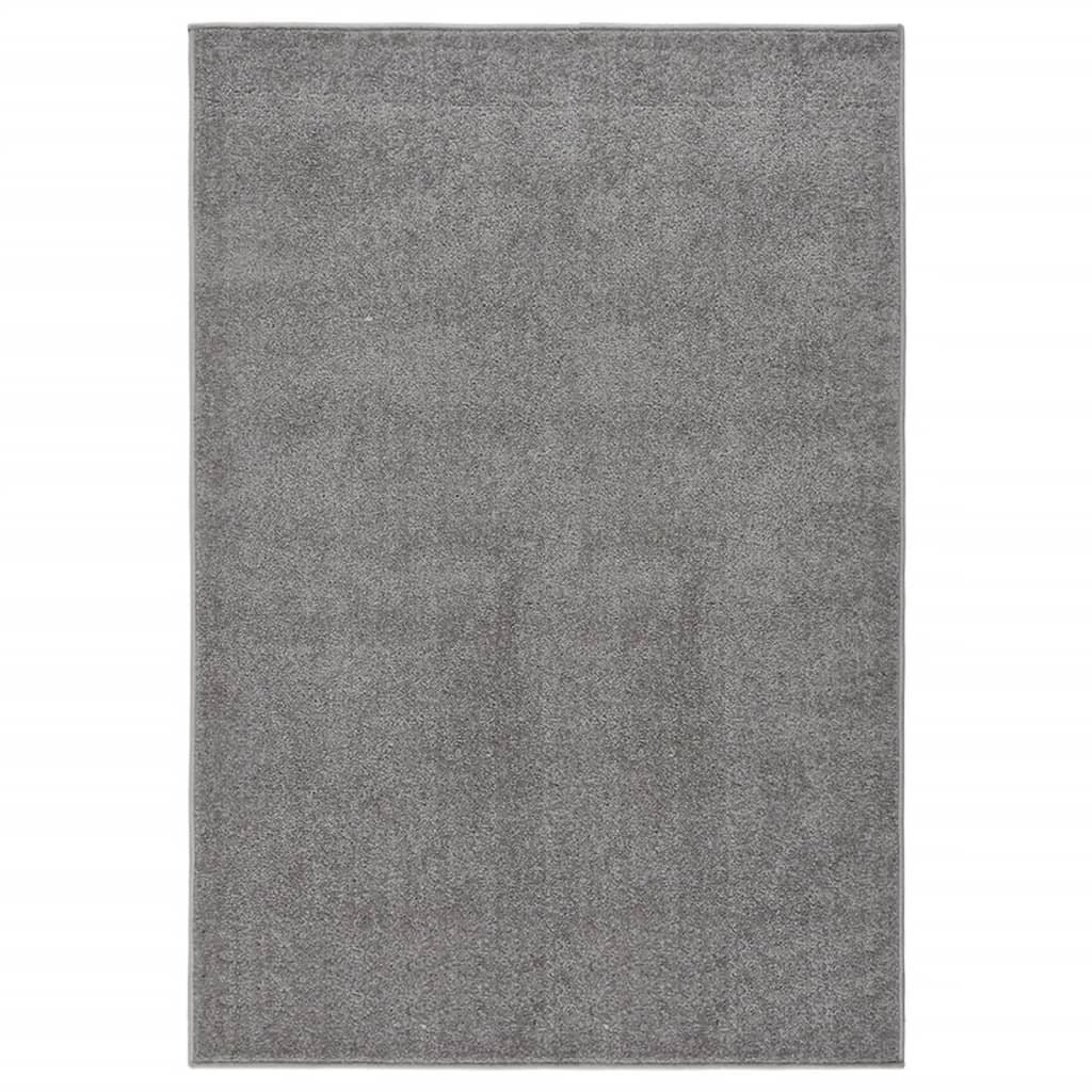 Tapis à poils courts 200x290 cm Gris