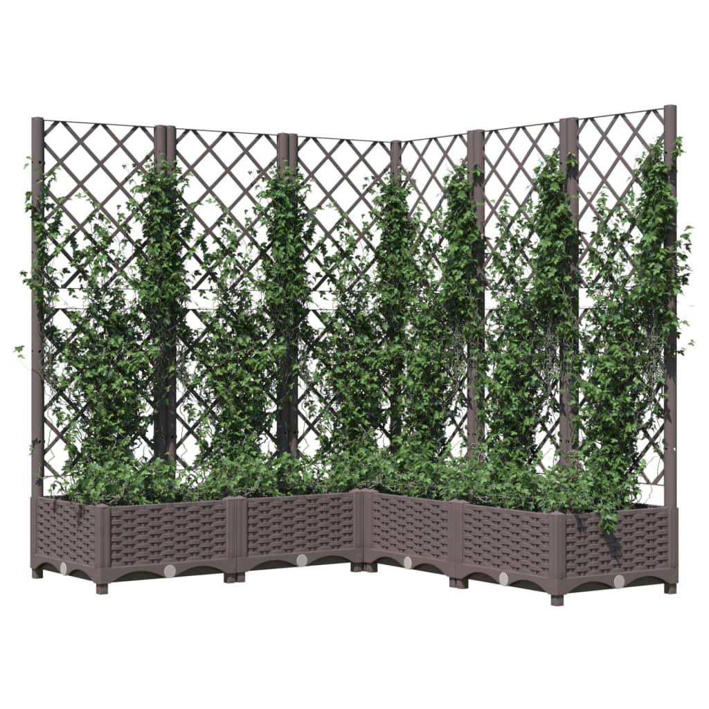vidaXL Plantenbak met latwerk 120x120x121,5 cm polypropeen bruin afbeelding
