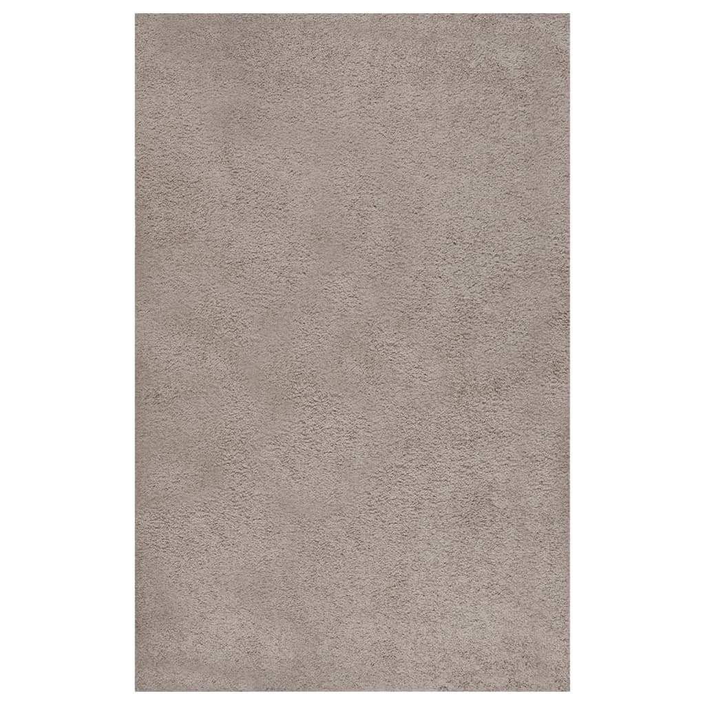 vidaXL Pörrömatto korkeanukkainen beige 200×290 cm