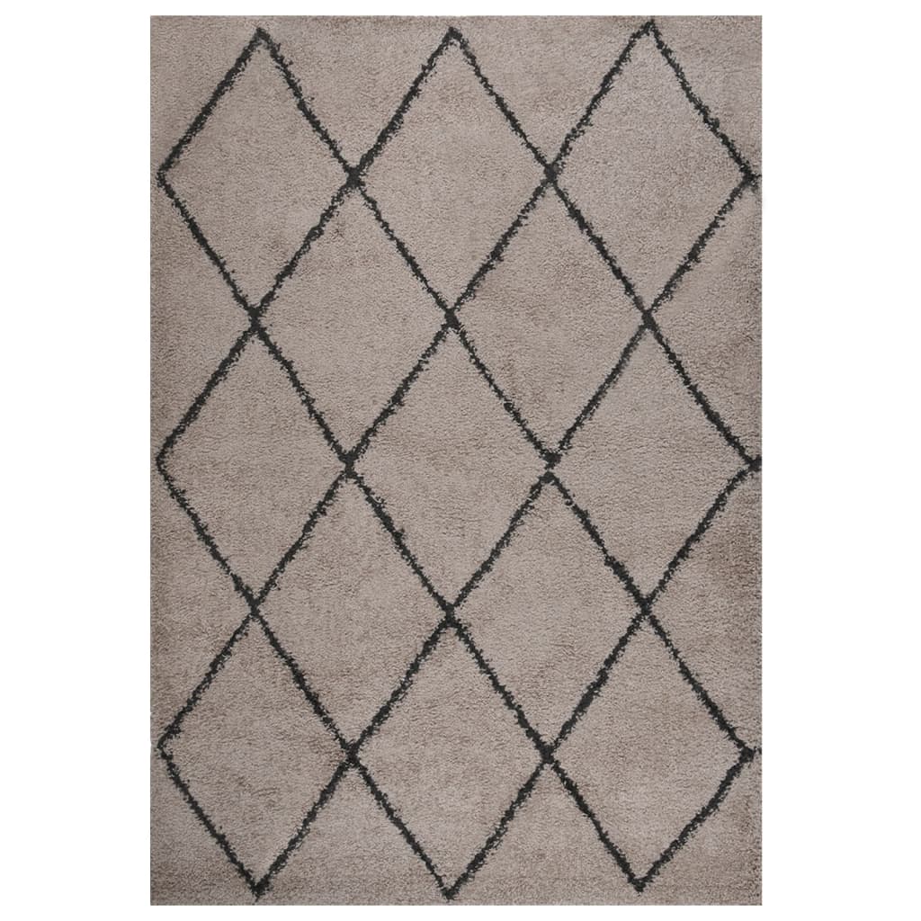 vidaXL Tapis shaggy à poils longs Beige et anthracite 160x230 cm