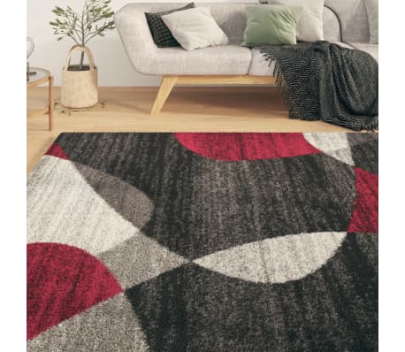 vidaXL Svetainės kilimas, įvairių spalvų, 80x150cm