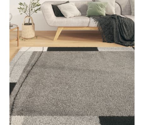 vidaXL Tapis de salon 80x150 cm Multicolore