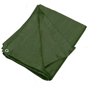 vidaXL Tentas, žalios spalvos, 2x3m, 90g/m², HDPE
