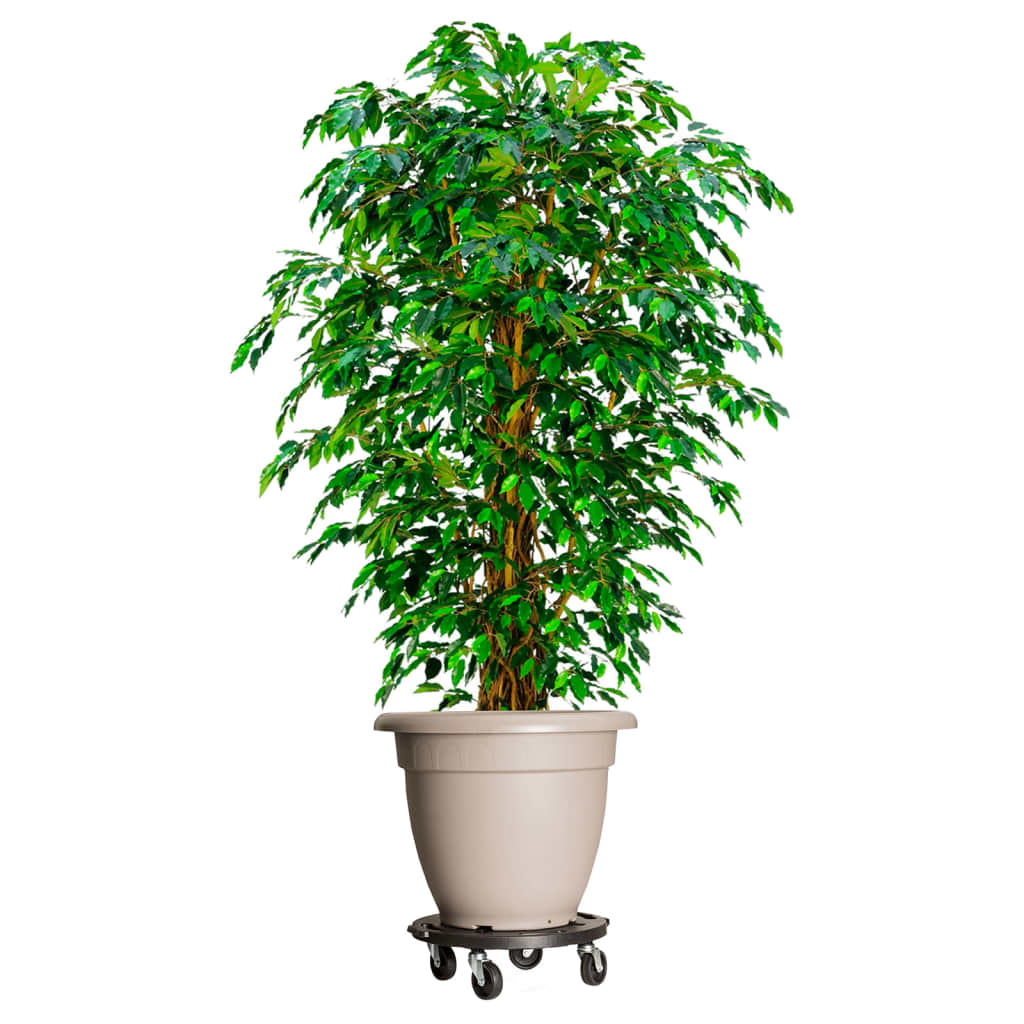 vidaXL Cărucior pentru plante cu roți, diametru 40 cm, negru, 275 kg vidaXL