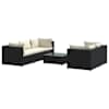 Black_and_cream