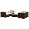 Brown_and_cream