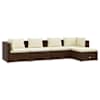 Brown_and_cream