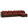 Brown_and_cinnamon_red