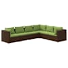 Brown_and_green