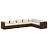 Brown_and_cream