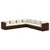 Brown_and_cream