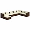 Brown_and_cream