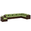 Brown_and_green
