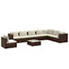 Brown_and_cream