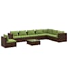 Brown_and_green