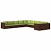 Brown_and_green
