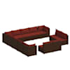 Brown_and_cinnamon_red