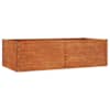 vidaXL taimekast, rooste, 160x80x45 cm, Corten-teras