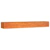 vidaXL taimekast, rooste, 400x80x45 cm, Corten-teras