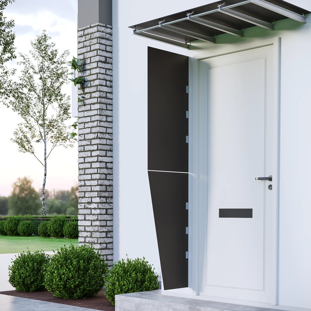 Panneaux latéraux pour auvent de porte 2 pcs Noir Verre trempé