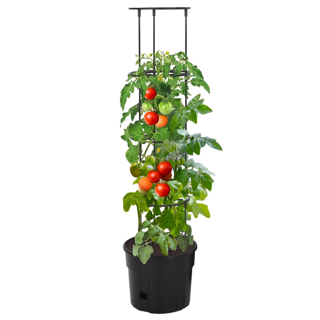 vidaXL tomatitaime kasvupott, antratsiithall, Ø29,5 x 115 cm, PP