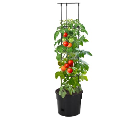vidaXL plantekrukke til tomater Ø29,5x115 cm polypropylen antracitgrå