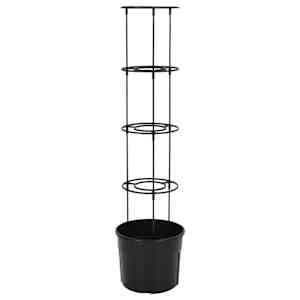 Truhlík na pěstování rajčat antracit Ø 29,5x115 cm polypropylen - obrázek 4