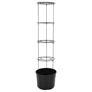 Truhlík na pěstování rajčat antracit Ø 39 x 150 cm polypropylen - obrázek 4