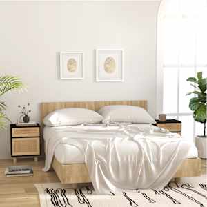 Nočna omarica 2 kosa črna trdna borovina in naravni ratan