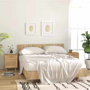 Nočna omarica 2 kosa rjava trdna borovina in naravni ratan