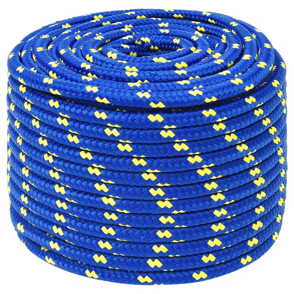 vidaXL Boottouw 12 mm 100 m polypropeen blauw afbeelding