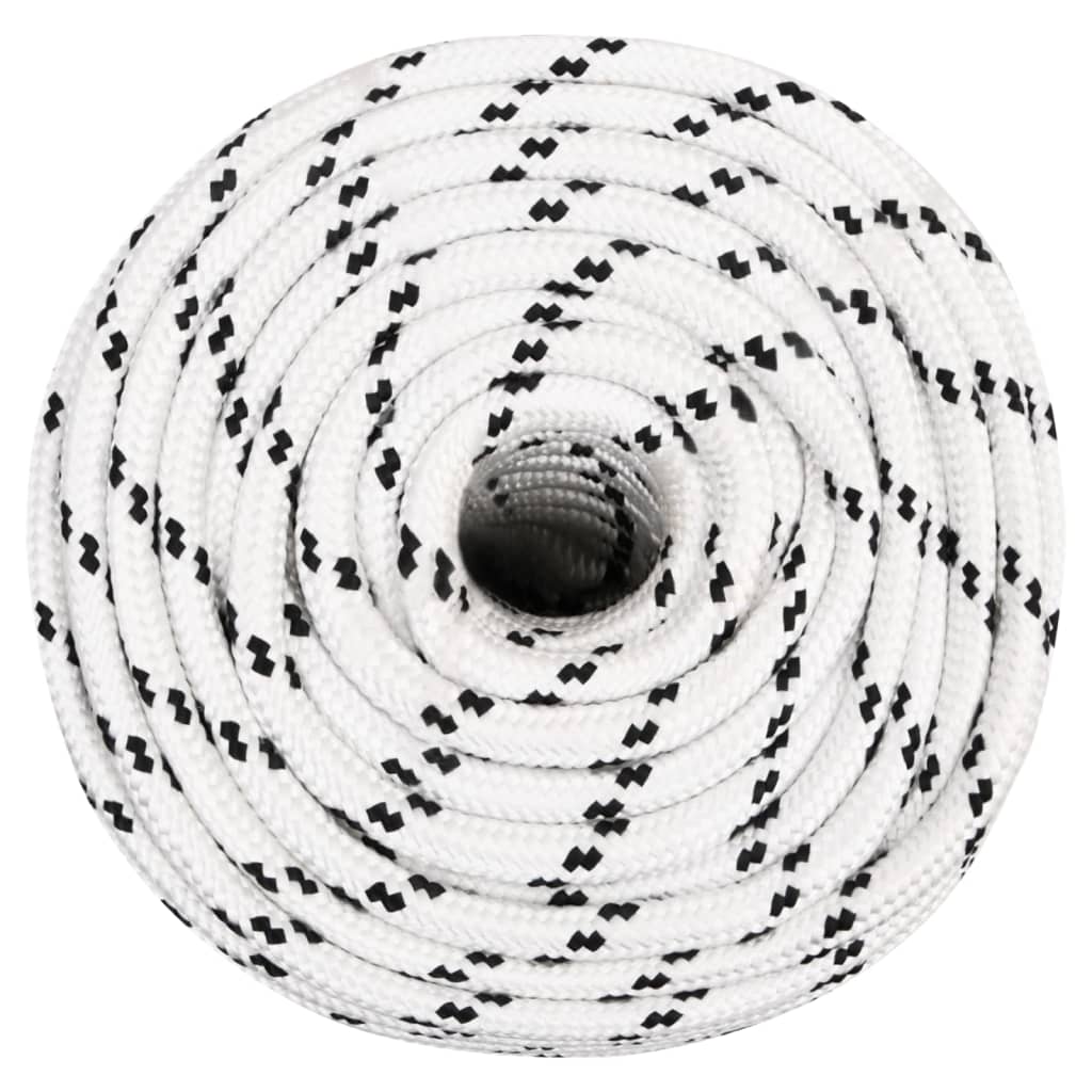 vidaXL Boottouw gevlochten 12 mmx100 m polyester wit afbeelding