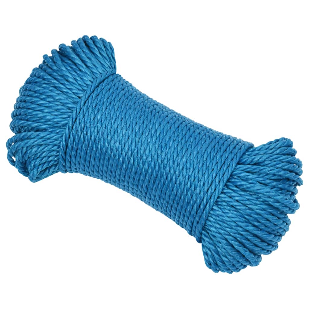 vidaXL Werktouw 6 mm 250 m polypropeen blauw afbeelding