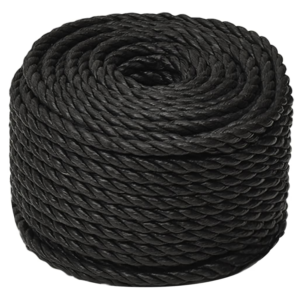 vidaXL Werktouw 12 mm 50 m polypropeen zwart afbeelding