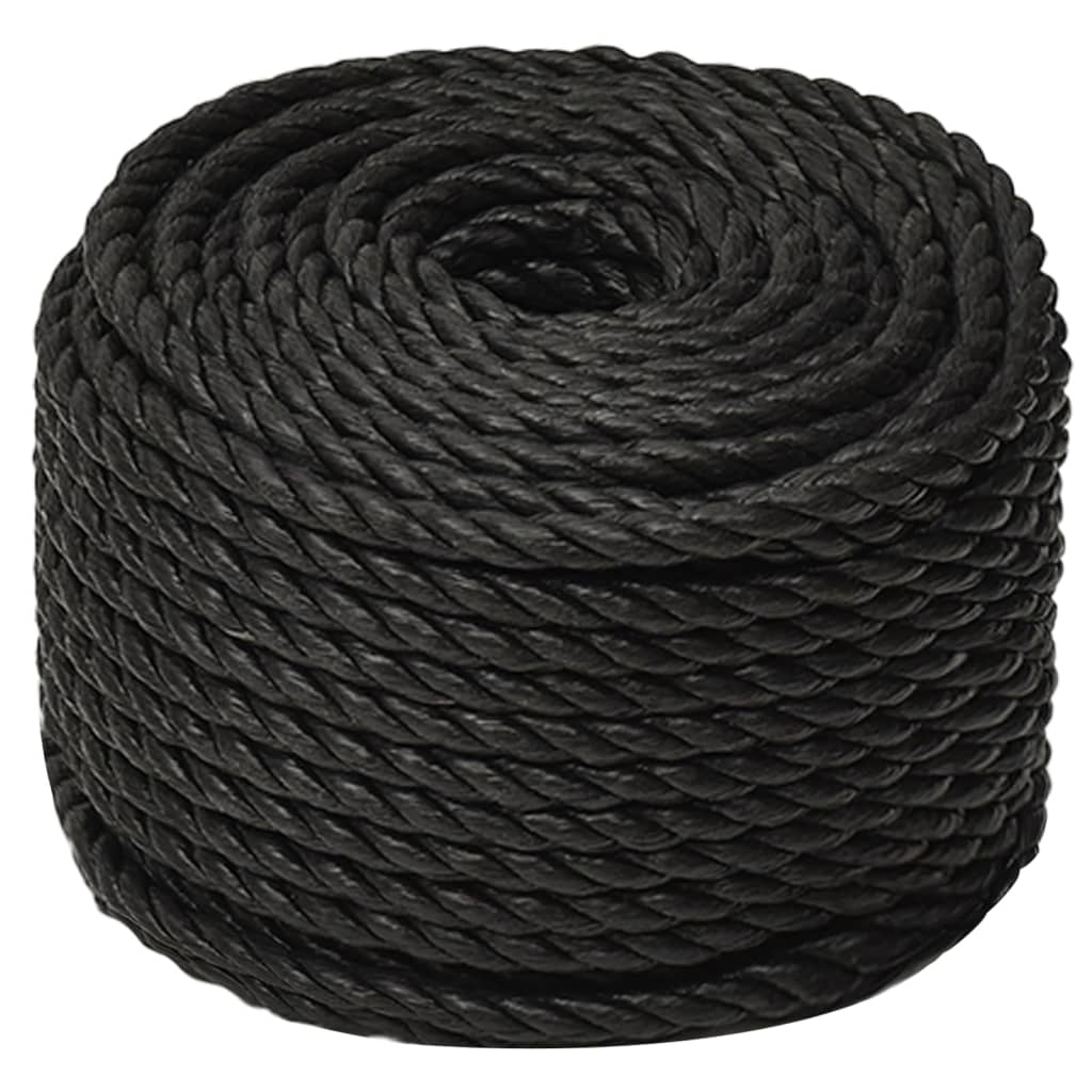 vidaXL Werktouw 12 mm 250 m polypropeen zwart afbeelding