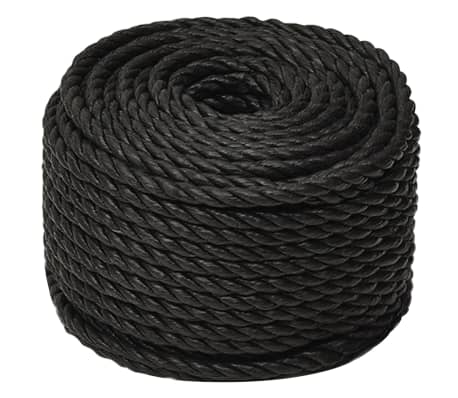 vidaXL Arbeitsseil Schwarz 24 mm 50 m Polypropylen