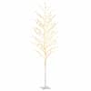 vidaXL LED kasepuu soe valge 672 LEDi 400 cm
