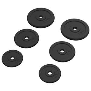 vidaXL kangi kettad 6 tk, 30 kg, malm