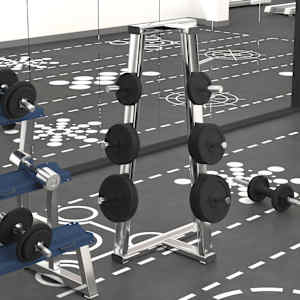 vidaXL kangi kettad 6 tk, 30 kg, malm