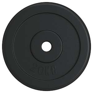 vidaXL kaaluplaat, 20 kg, malm