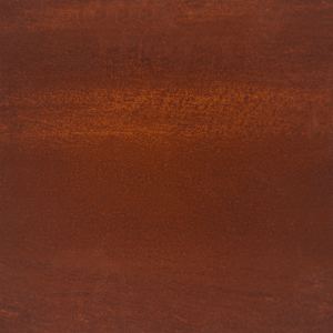 Okraj trávníku 10 pcs 25 x 103 cm Povětrnostně odolná ocel - obrázek 13