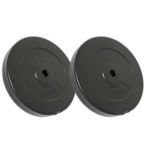 vidaXL kangikettad 2 tk, 30 kg, tsement