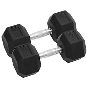 vidaXL hantlid 2 tk, 12,5 kg, t&auml;ismetallist