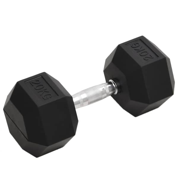 vidaXL hantel, 20 kg, malm