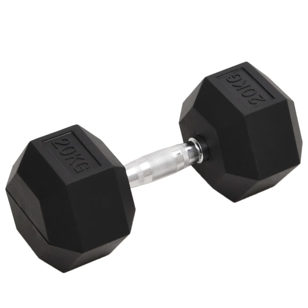 vidaXL Gantera, 20 kg, fonta