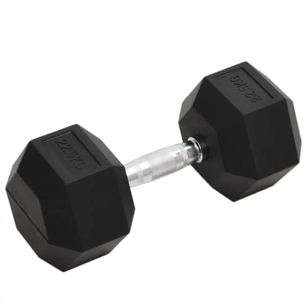 vidaXL hantel, 22,5 kg, malm